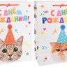 Пакет подарочный, Котенок в колпачке, Лаковый