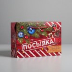 Пакет-коробка «Новогодняя посылка» #нг