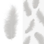 Перья Премиум, Серебро