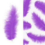 Перья Премиум, Сиреневый