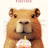 Открытка Капибарочка классная!