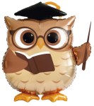 Фигура, Сова Выпускник