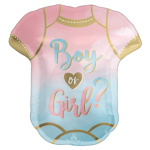 An Фигура Боди Мальчик или девочка?, Гендер Пати, розовый/голубой / Boy or Girl?