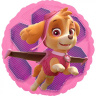 Круг Щенячий Патруль Скай и Эверест / Paw Patrol Skye & Everest S60