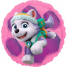 Круг Щенячий Патруль Скай и Эверест / Paw Patrol Skye & Everest S60