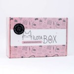 Подарочный набор Милотабокс "Travel Box" Путешествие