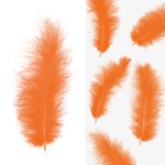 Перья Премиум, Оранжевый