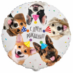 Круг С Днем Рождения! Собачки фотографичные