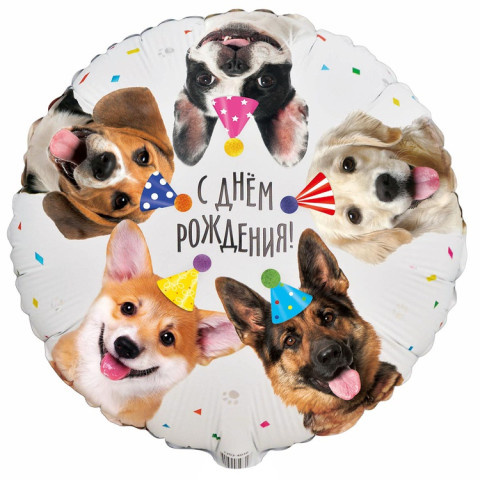 Круг С Днем Рождения! Собачки фотографичные