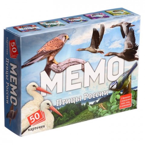 Мемо «Птицы России» + познавательная брошюра