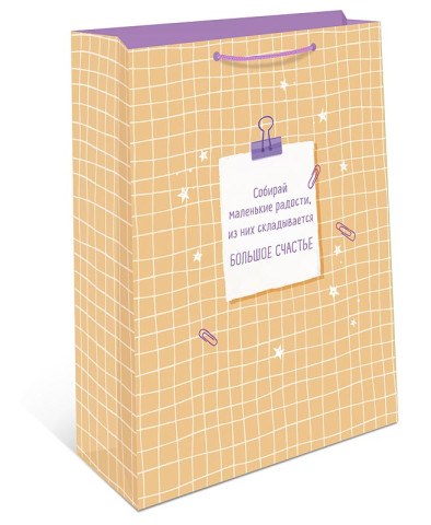 Пакет подарочный Большое счастье, клетка