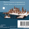 Конверт для денег С Днем Рождения, новые виды и возможности, фольга