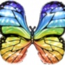Фигура Радужная бабочка, Голография