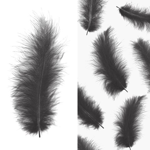 Перья Премиум, Графит