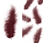 Перья Премиум, Бургундия,