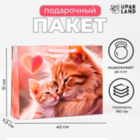 Пакет ламинированный горизонтальный «Котики»