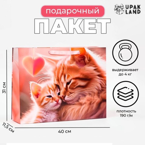 Пакет ламинированный горизонтальный «Котики»