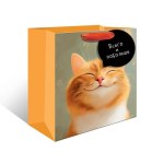 Пакет ламинированный делюкс Довольный кот