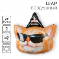 L Фигура «Ты сияешь, без очков не взглянешь», кот