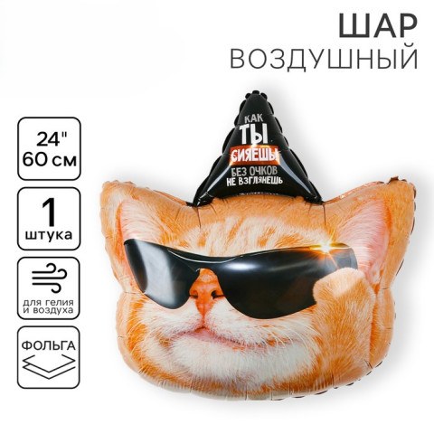 L Фигура «Ты сияешь, без очков не взглянешь», Кот в колпачке