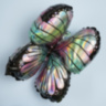 Мини-фигура, Волшебная бабочка, Голография