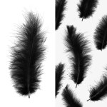 Перья Черные