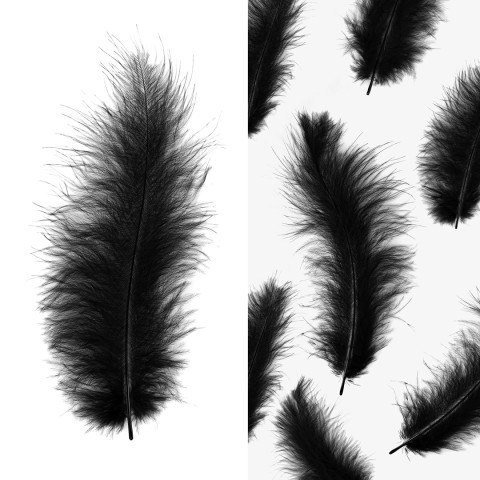Перья Черные
