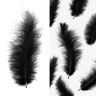 Перья Черные