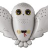 Фигура, Полярная сова с письмом