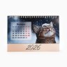 Календарь 2026 настольный, домик «Котенок в цветах»