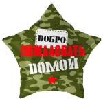 Звезда Добро Пожаловать Домой, Камуфляж