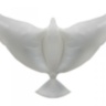 Воздушный надувной голубь, Белый (биоголубь)