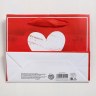 Пакет подарочный ламинированный горизонтальный «LOVE», мазки