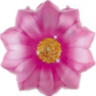 Фигура Цветок, Розовый