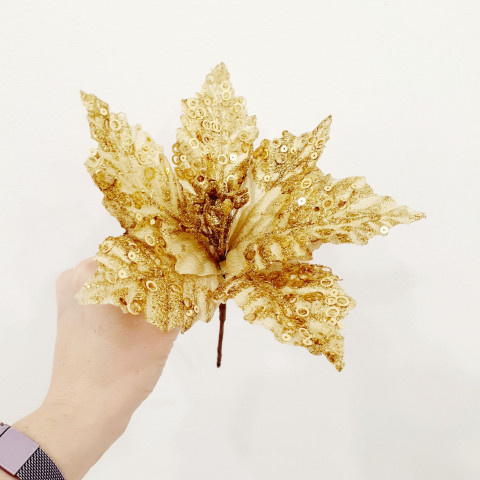 Пуансеттия, цветок золото