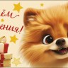 Конверт для денег С Днем Рождения! Шпиц