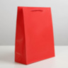 Пакет ламинированный «Красный»