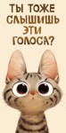 Конверт для денег Голоса, Полосатый котик
