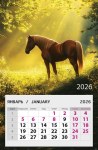 Календарь на магните 2026 Лошадь в лучах солнца