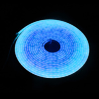 Светодиодная гирлянда, Дюралайт 120 Led/м, с адаптером, 6*12мм,12v, Голубой
