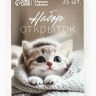 Набор мини-открыток в коробке со скрепками «Котики»