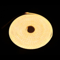 Светодиодная гирлянда, Дюралайт 120 Led/м, с адаптером, 6*12мм,12v, Теплый белый