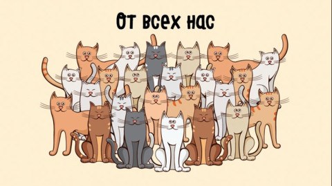 Конверт для денег, От всех нас (котики)