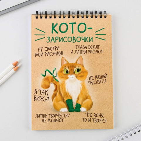 Скетчбук 40 л «Котозарисовки», 100 г/м2