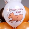 BK Шар Пастель СДР! Капибара! 5 дизайнов шелк рис. 1ст. 2цв.