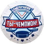 Ag Круг, Хоккей, Ты Чемпион!