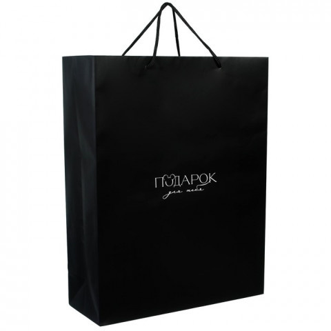 Пакет ламинированный вертикальный "Подарок для тебя", чёрный, Минни Маус