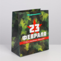 Пакет ламинированный горизонтальный «Защитник»