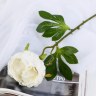 Цветы искусственные «Пышный пион», белые