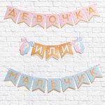 Гирлянда на ленте «Гендер пати», мальчик или девочка